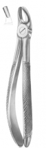  Fig. 39L upper molars left for children 